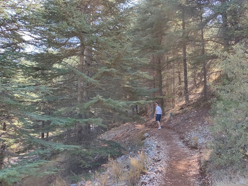 Chouf national park