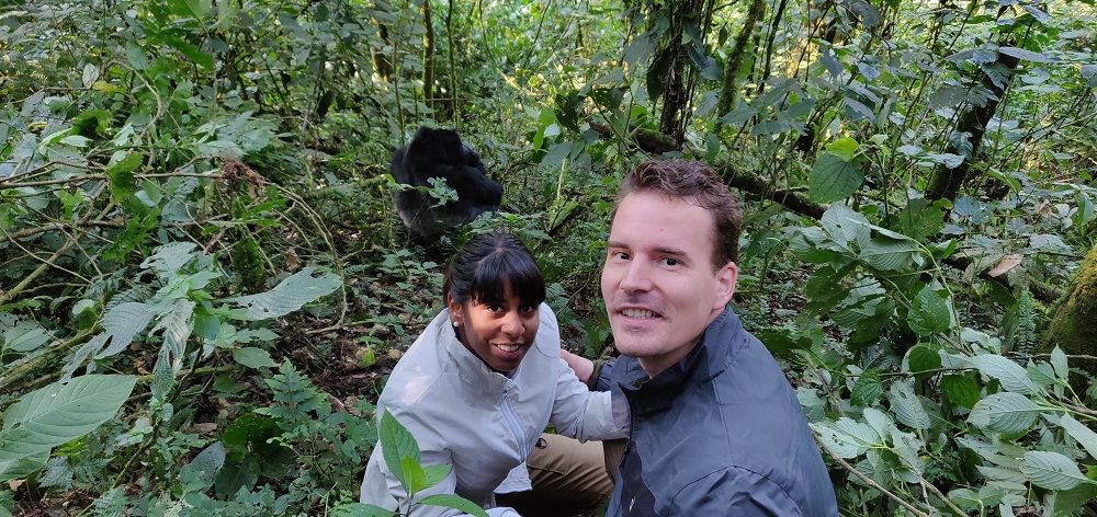 Gorilla encounter