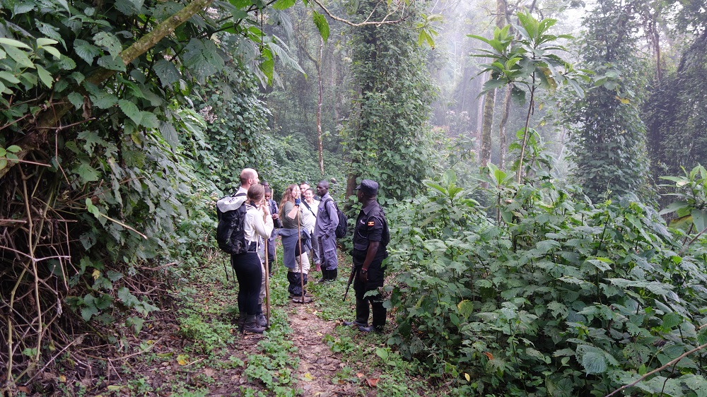 Gorilla trekking group