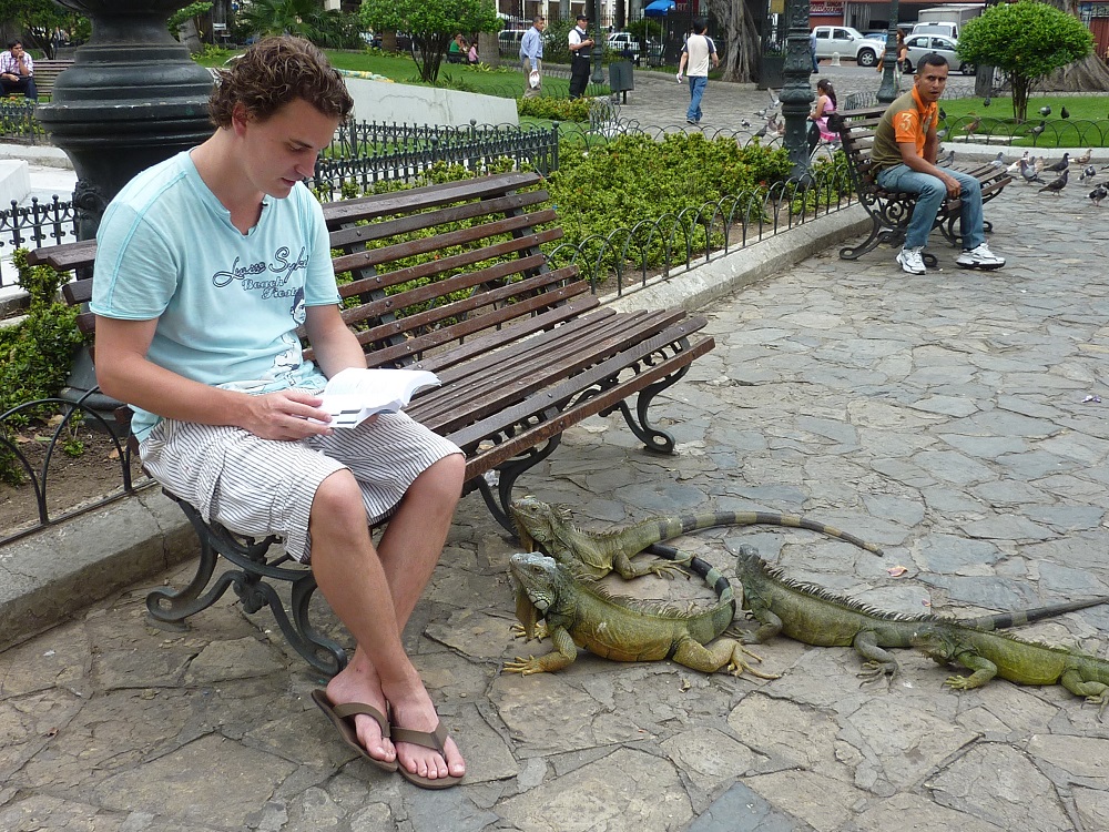 Guayaquil parque des iguanas