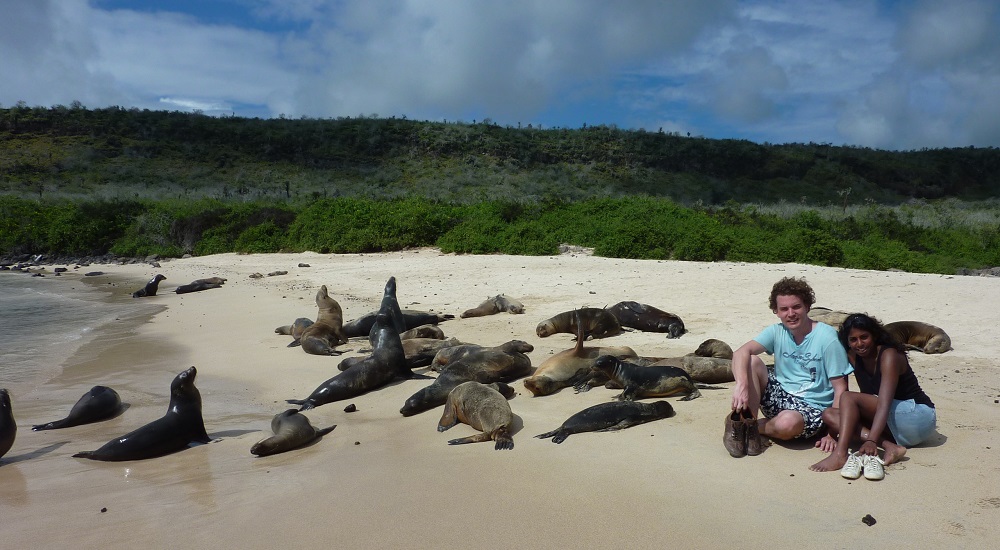 Seal Interaction Galapagos