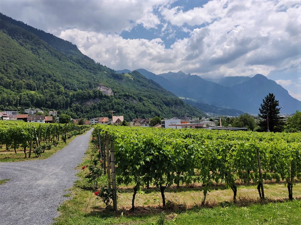 Liechtenstein winery
