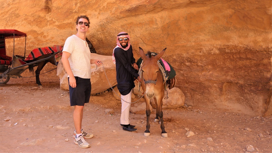 Donkey Petra
