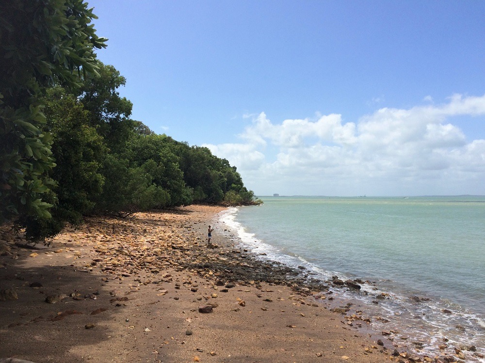 Darwin coast