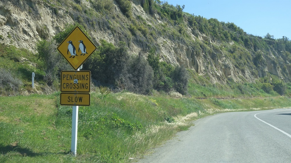 Pinguin road sign