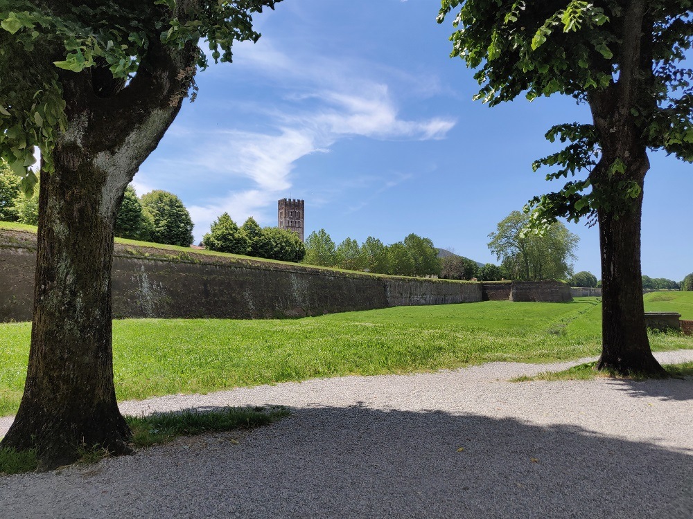 Lucca Walls
