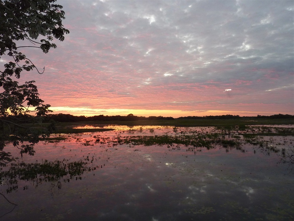 Sunset Pantanal Brazil