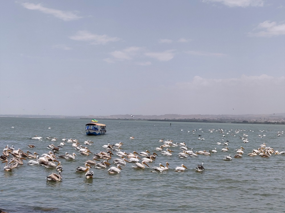 Bahir Dar Lake Tana Ethiopia