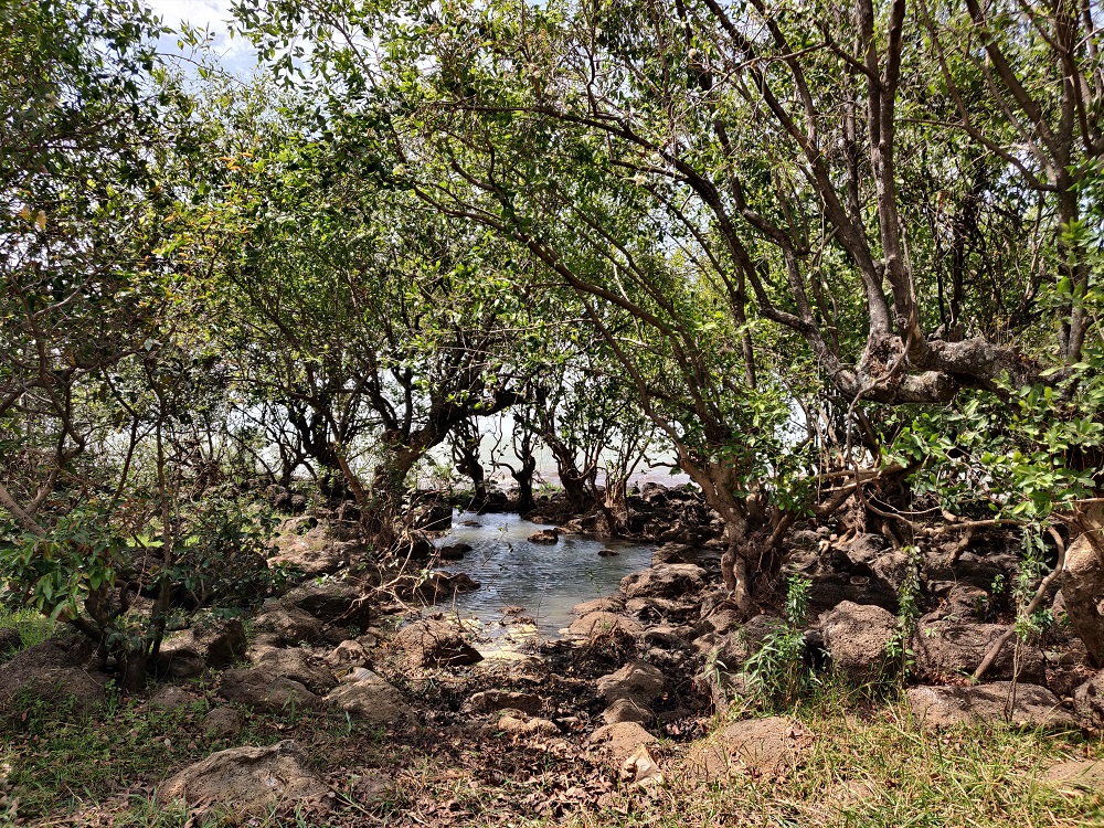 Bahir Dar Lake Tana Ethiopia